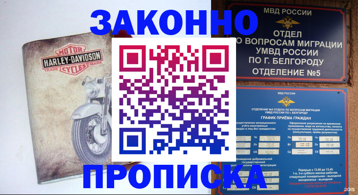 прописка для школы в Михайлове